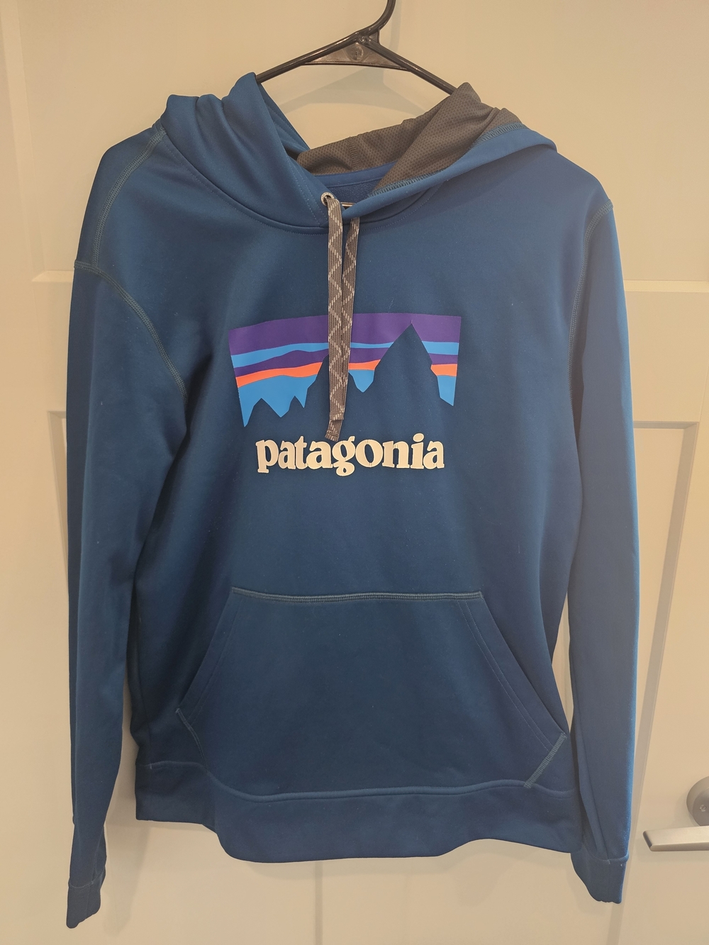 Patagonia Men's Blue Logo Hoodie Sweatshirt